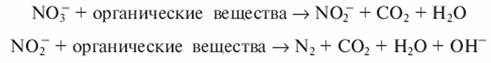 image493