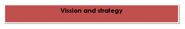 : Vission and strategy
