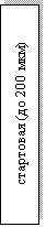 :  ( 200 )