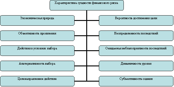 Основная характеристика сущности финансового риска