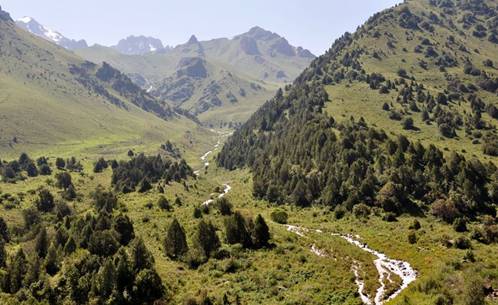 http://paleokazakhstan.info/images/tienshan/103.JPG
