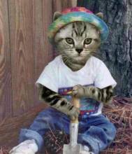 C:\Users\����\Desktop\������������\txt to bmp\ggg4.bmp