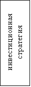 Подпись: инвестиционная стратегия