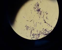 C:\Users\������\Desktop\����� ����� (3)\DSC02803.JPG