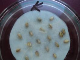 C:\Users\������\Desktop\����� ����� (3)\DSC02822.JPG