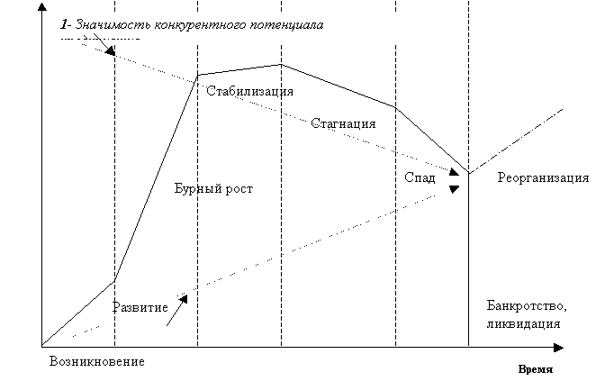 стадии жизненного цикла предприятия