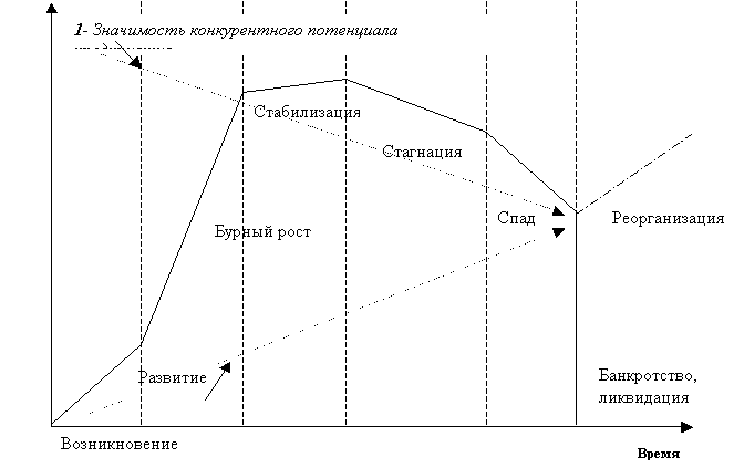 стадии жизненного цикла предприятия