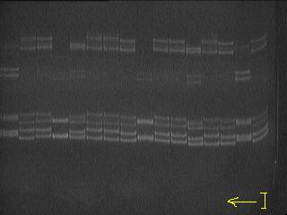 D:\��������� ������\���������\100 ��� ��� ������(������������ �������)\30.04.2013-2\Capture_20130430-171522.bmp