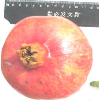 D:\����\����� ����� (5)\IMG_2161.JPG