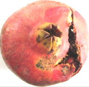 D:\����\����� ����� (4)\IMG_2046.JPG