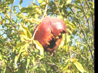 D:\����\����� ����� (4)\IMG_1886.JPG