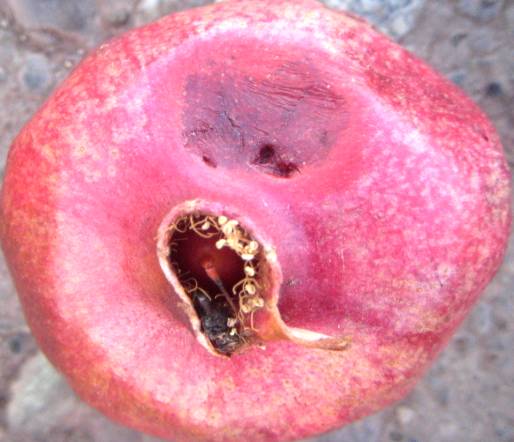 D:\����\����� �����\IMG_3146.JPG