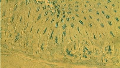 ��� ���2