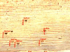 F:\����������� 7.02.12\���.�.����..jpg