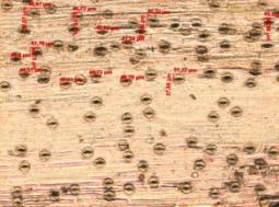 F:\����������� 7.02.12\���.���. ��..jpg