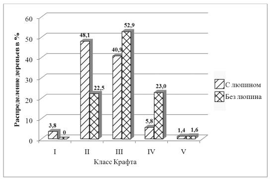 Класс Крафта.jpg