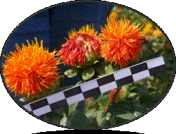 F:\���� �� 06.08.12 �\P1340939.JPG