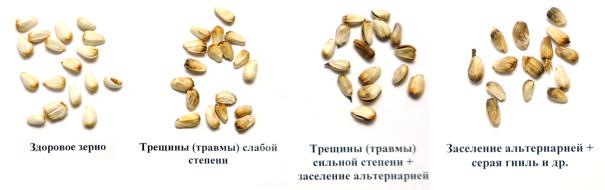 C:\Documents and Settings\�������\������� ����\����������\������.tif