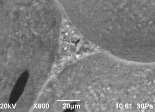 D:\���������\����� �����\������ 2013.11 ���� ((((\������� 4\rii - obr.4 - skol - 4.bmp