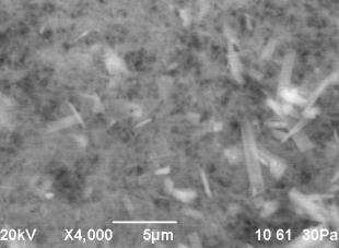 D:\���������\����� �����\������ 2013.11 ���� ((((\������� 4\rii - obr.4 - skol - 10.bmp