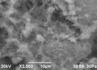 D:\���������\����� �����\������ 2013.11 ���� ((((\������� 16\rii - obr.16 sered - 5.bmp