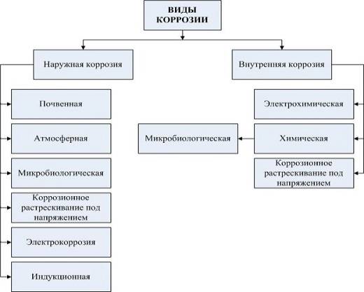 �������� 1.jpg