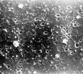 IMG2_0012 - �����