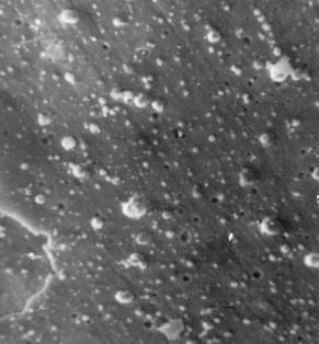 IMG2_0020 - ����� (3)