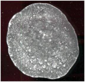 C:\Users\EVGENIY\Desktop\����� ����� (2)\1.jpg