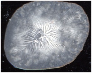 C:\Users\EVGENIY\Desktop\����� ����� (2)\2.jpg