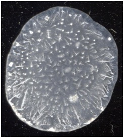 C:\Users\EVGENIY\Desktop\����� ����� (2)\3.jpg