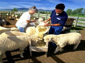  ����� ��������� ����