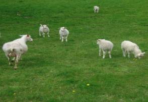  ������ ��������� ����