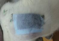 E:\���� ����\22.10\20141022_124813.jpg