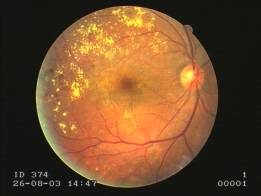 ��������: doc01