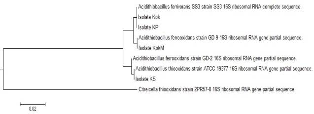��������: C:\Users\User\Desktop\���� ������\��� ����\16S\16 ��� ���1.jpg