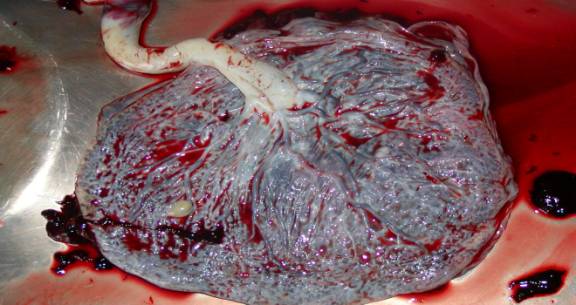 Изображение 006