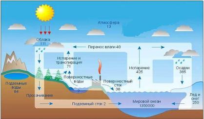 C:\Documents and Settings\Anel\������� ����\1.JPG