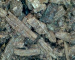 ��������: ����1.bmp