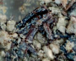 ��������: ����2.bmp