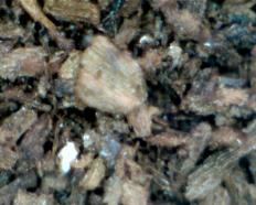 ��������: ����2.bmp