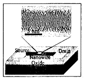 Fig. 4.tif