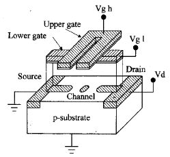 Fig. 6.tif