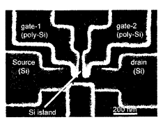 Fig. 7.tif
