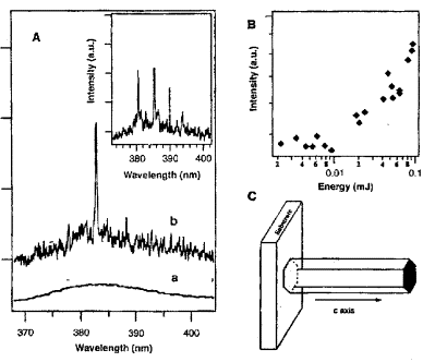 Fig. 10.tif