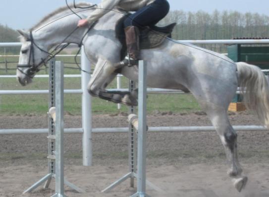 C:\Documents and Settings\UserXP\Local Settings\Temporary Internet Files\Content.Word\IMG_0394.jpg