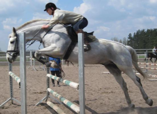 C:\Documents and Settings\UserXP\Local Settings\Temporary Internet Files\Content.Word\IMG_0388.jpg