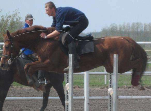 C:\Documents and Settings\UserXP\Local Settings\Temporary Internet Files\Content.Word\IMG_0393.jpg