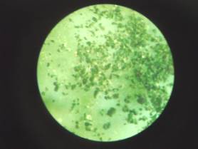 C:\Users\Yuri\Desktop\��� ����� ���� 2013\���-� ������ ������ 0 (2).JPG