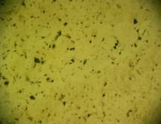 DSCN2215 Fe+C обр